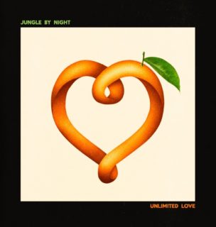JUNGLE BY NIGHT - UNLIMITED LOVE
