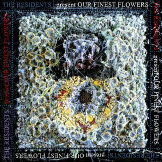 RESIDENTS - OUR FINEST FLOWERS