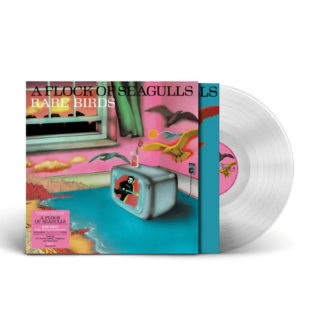 A FLOCK OF SEAGULLS - RARE BIRDS - A FLOCK OF SEAGU