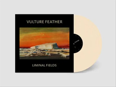 VULTURE FEATHER - LIMINAL FIELDS (BONE)