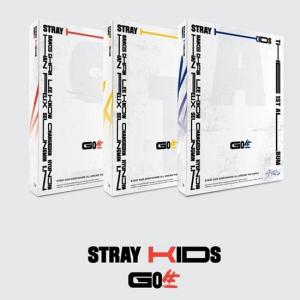 STRAY KIDS - GO LIVE