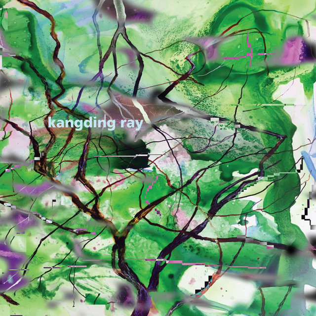 KANGDING RAY - BRANCHES