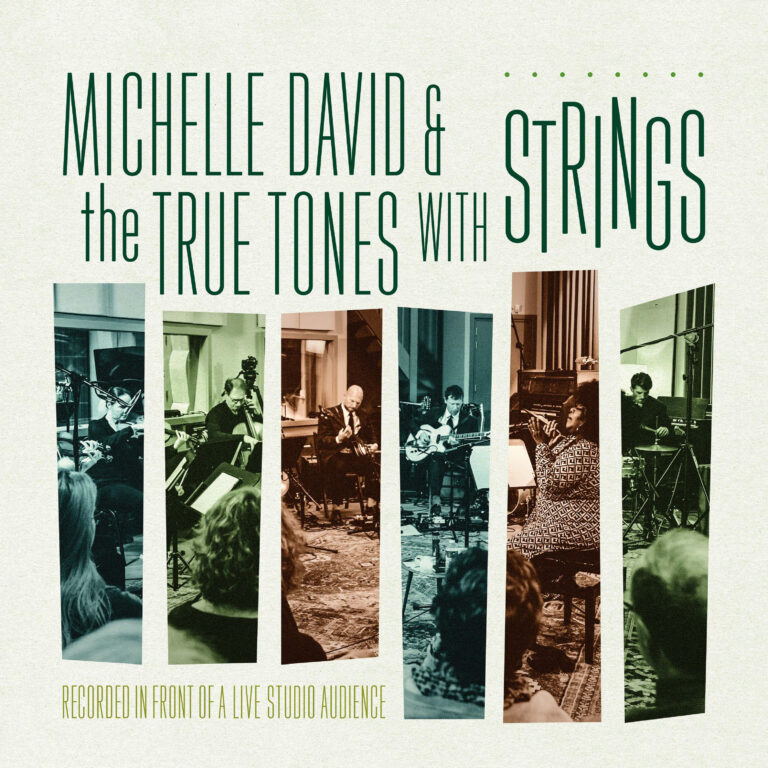 DAVID, MICHELLE & THE TRUE-TONES - WITH STRINGS
