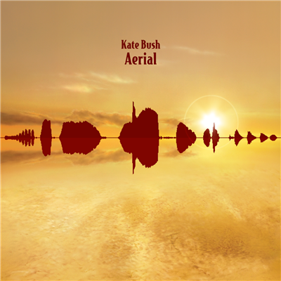 BUSH, KATE - AERIAL