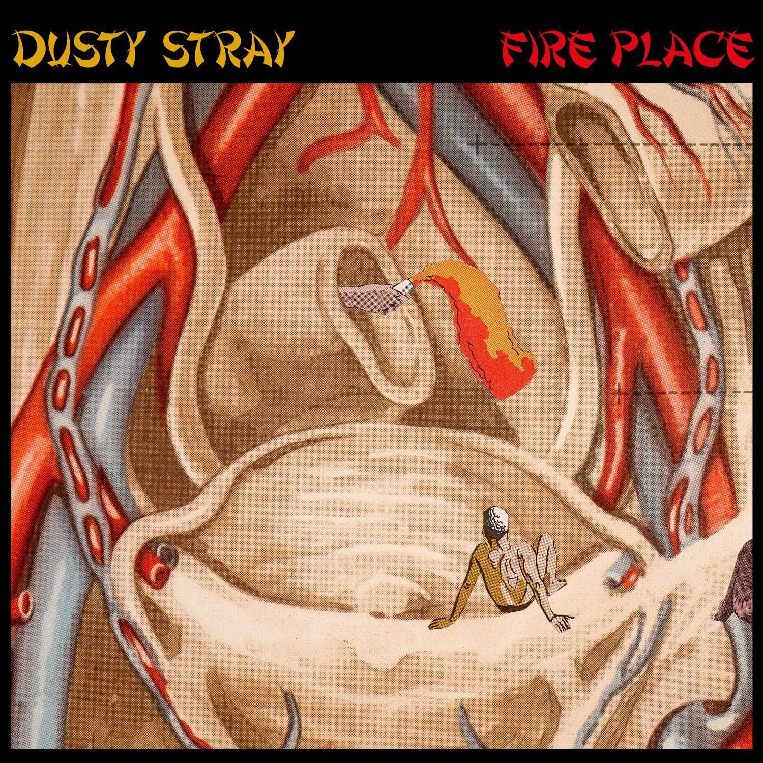 DUSTY STRAY - FIRE PLACE