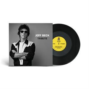 JEFF BECK GROUP - TRIBUTE