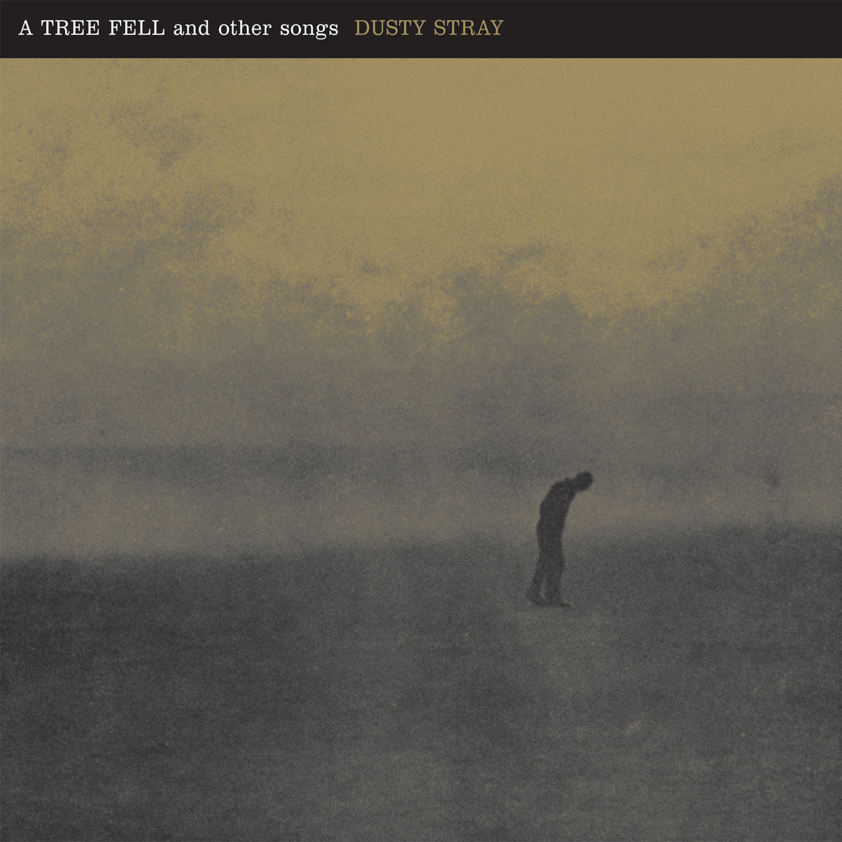 DUSTY STRAY - A TREE FELL AND OTHER SONGS