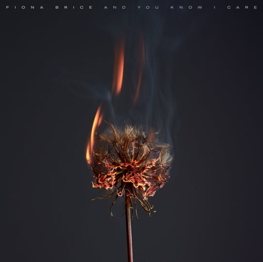 BRICE, FIONA - AND YOU KNOW I CARE