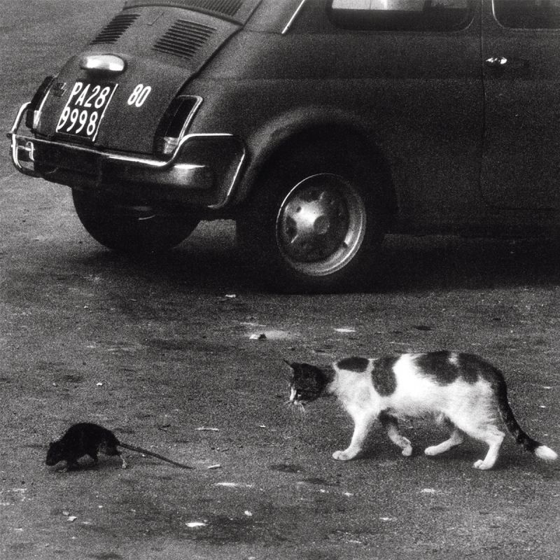 CONWAY THE MACHINE & WUN TWO - PALERMO