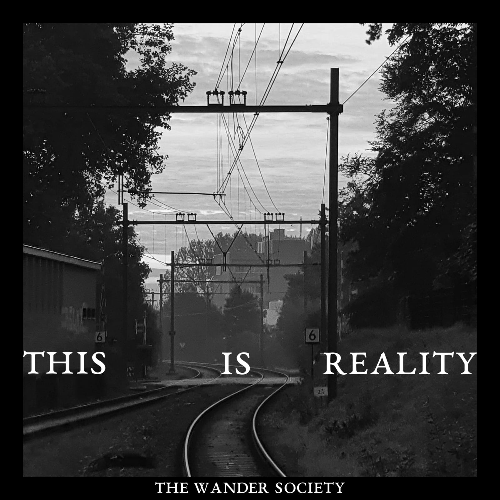 WANDER SOCIETY, THE - THIS IS REALITY