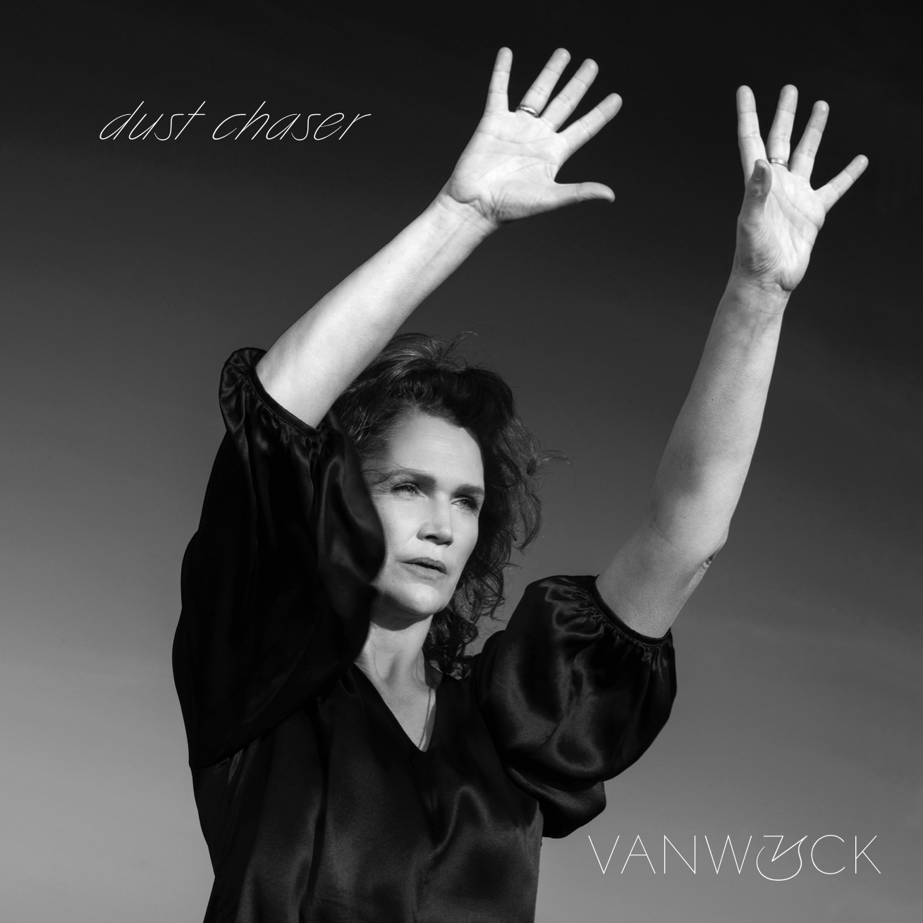 VANWYCK - DUST CHASER