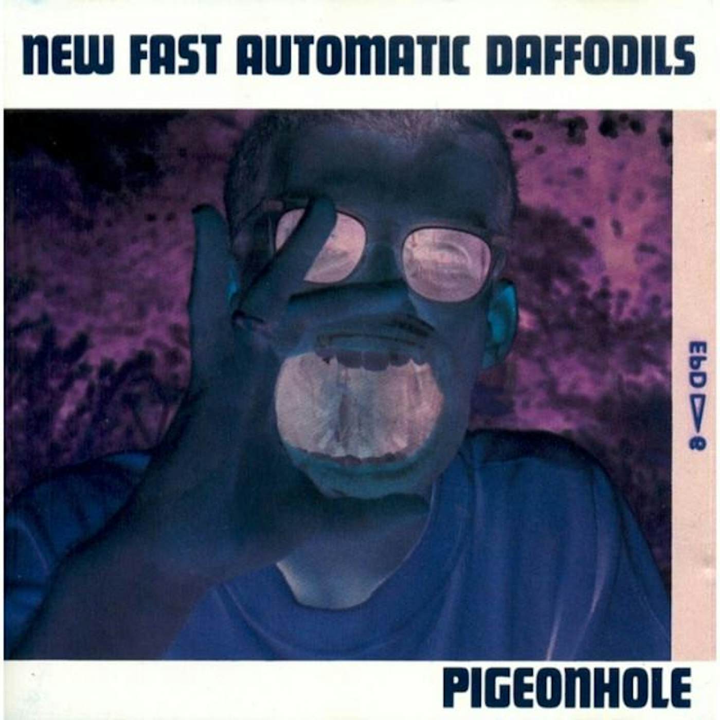 NEW FAST AUTOMATIC DAFFODILS - PIGEONHOLE