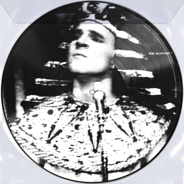 MARTIN, STEVE & THE TOOT UNCOMMONS - KING TUT -PICTURE DISC-