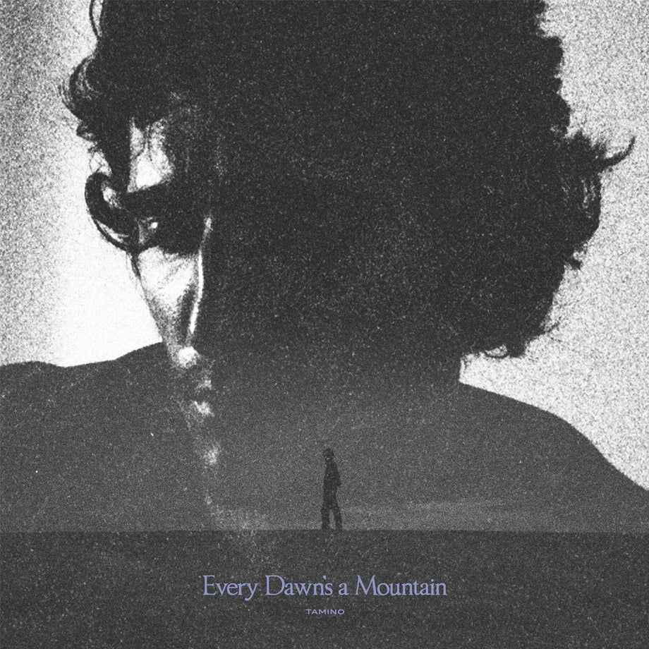 TAMINO - EVERY DAWN S A MOUNTAIN