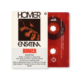 HOMER - ENSATINA