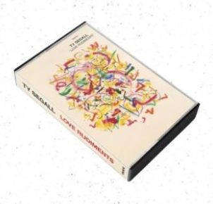 SEGALL, TY - LOVE RUDIMENTS