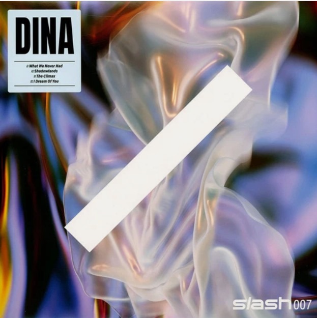 DINA - WHAT WE NEVER HAD