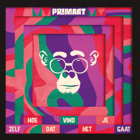 PRIMAAT - HOE VIND JE ZELF DAT HET GAAT