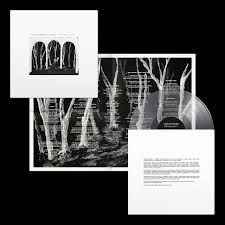 THESE NEW PURITANS - CROOKED WING -COLOURED-