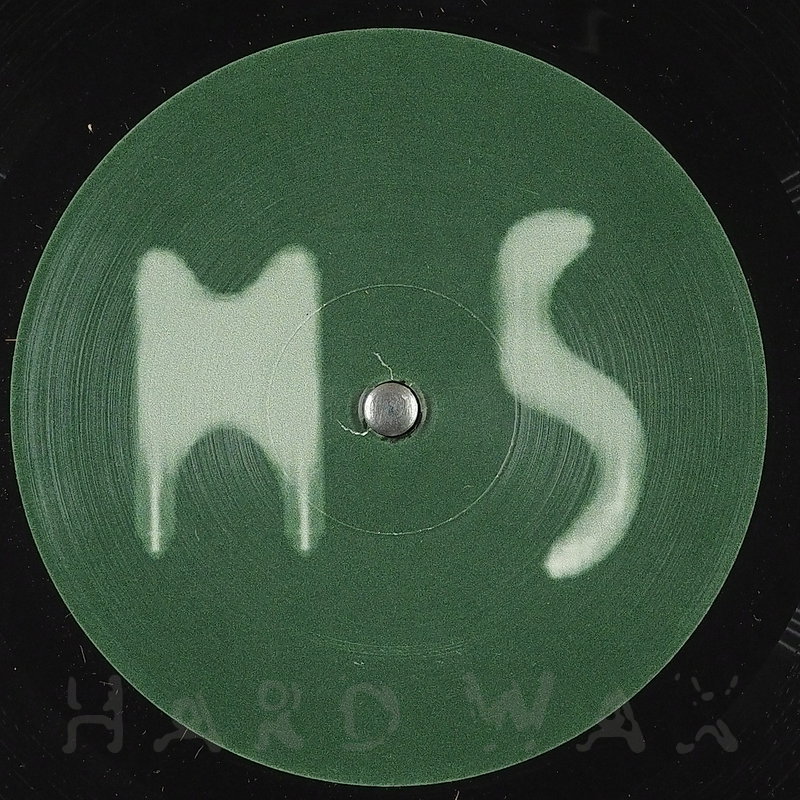 MAURIZIO - M 5