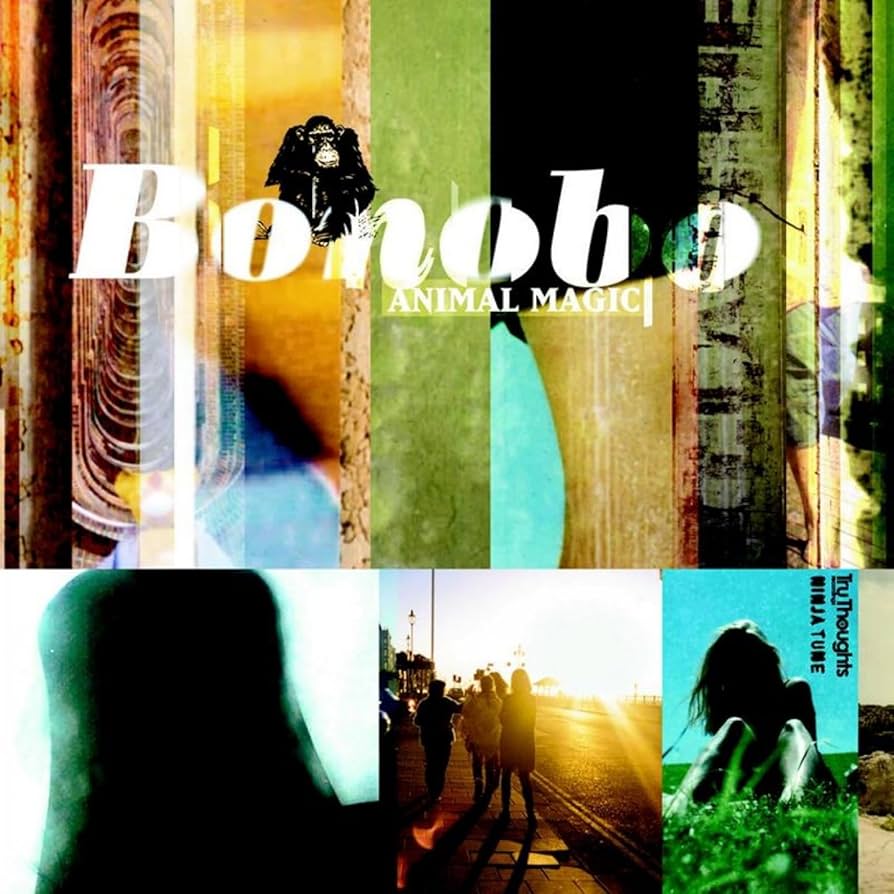BONOBO - ANIMAL MAGIC