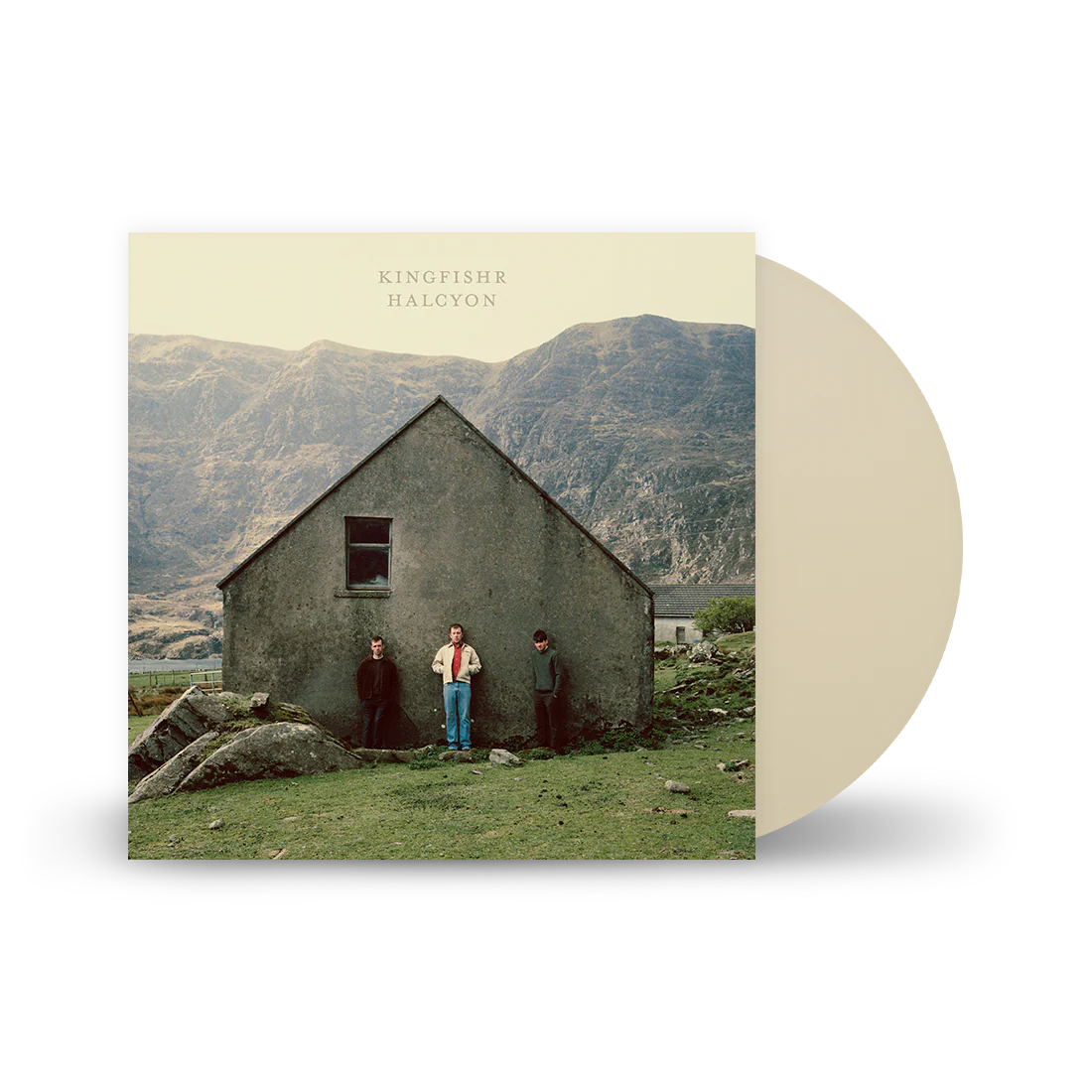 KINGFISHR - HALCYON -COLOURED-