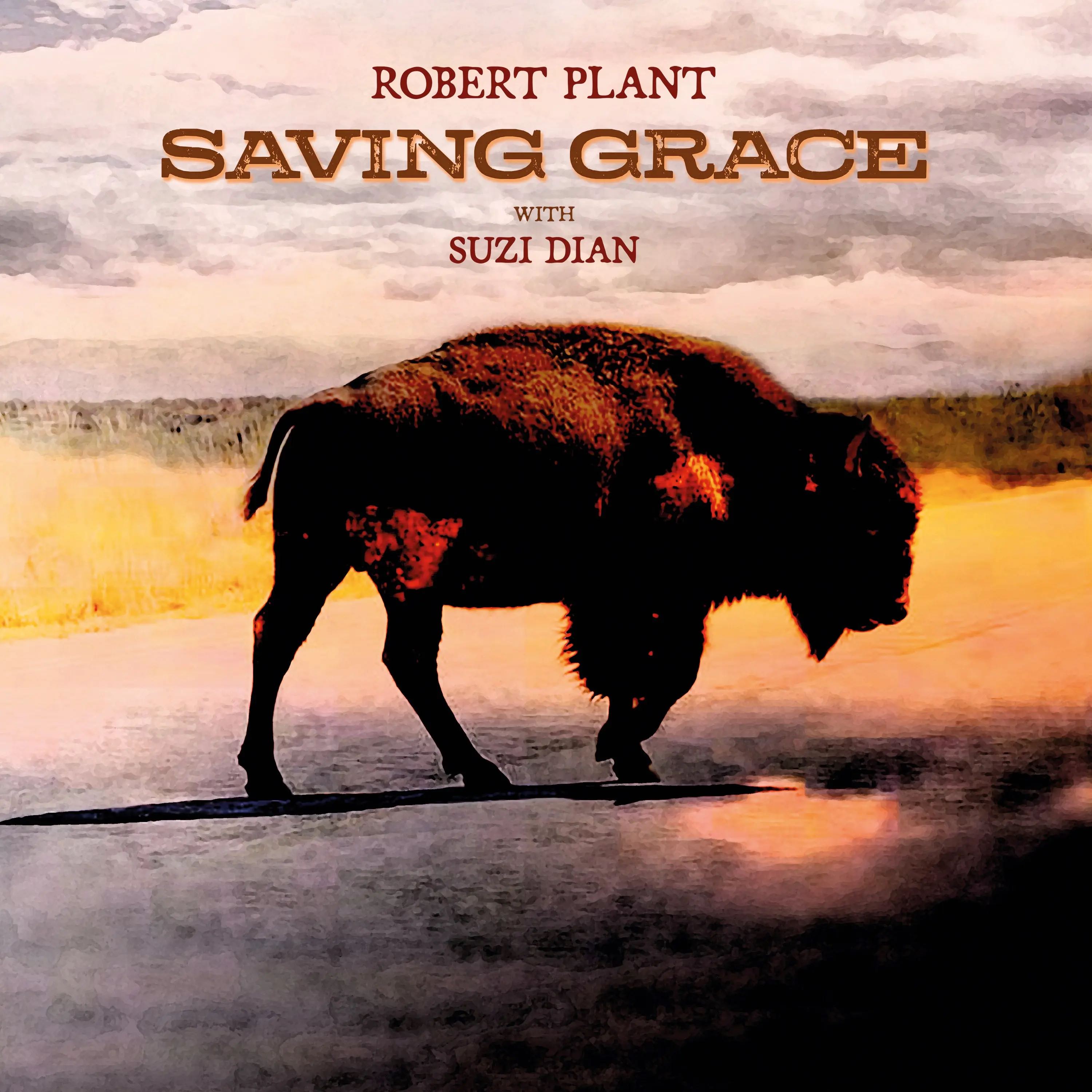 PLANT, ROBERT - SAVING GRACE