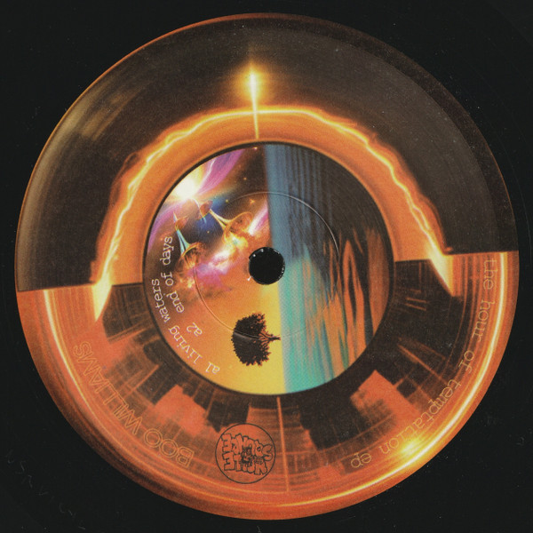 WILLIAMS, BOO - HOUR OF TEMPTATION