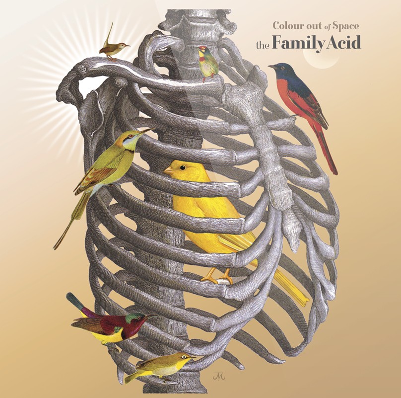 FAMILY ACID - COLOUR OUT OF SPACE