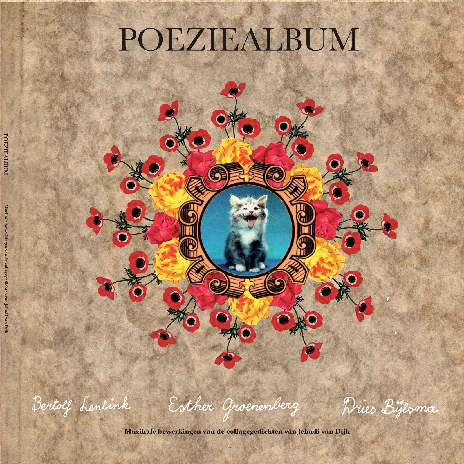 DIVERSE ARTIESTEN - POEZIEALBUM