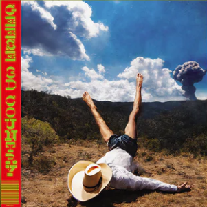 GEESE - 3D COUNTRY (CLEAR VINYL)