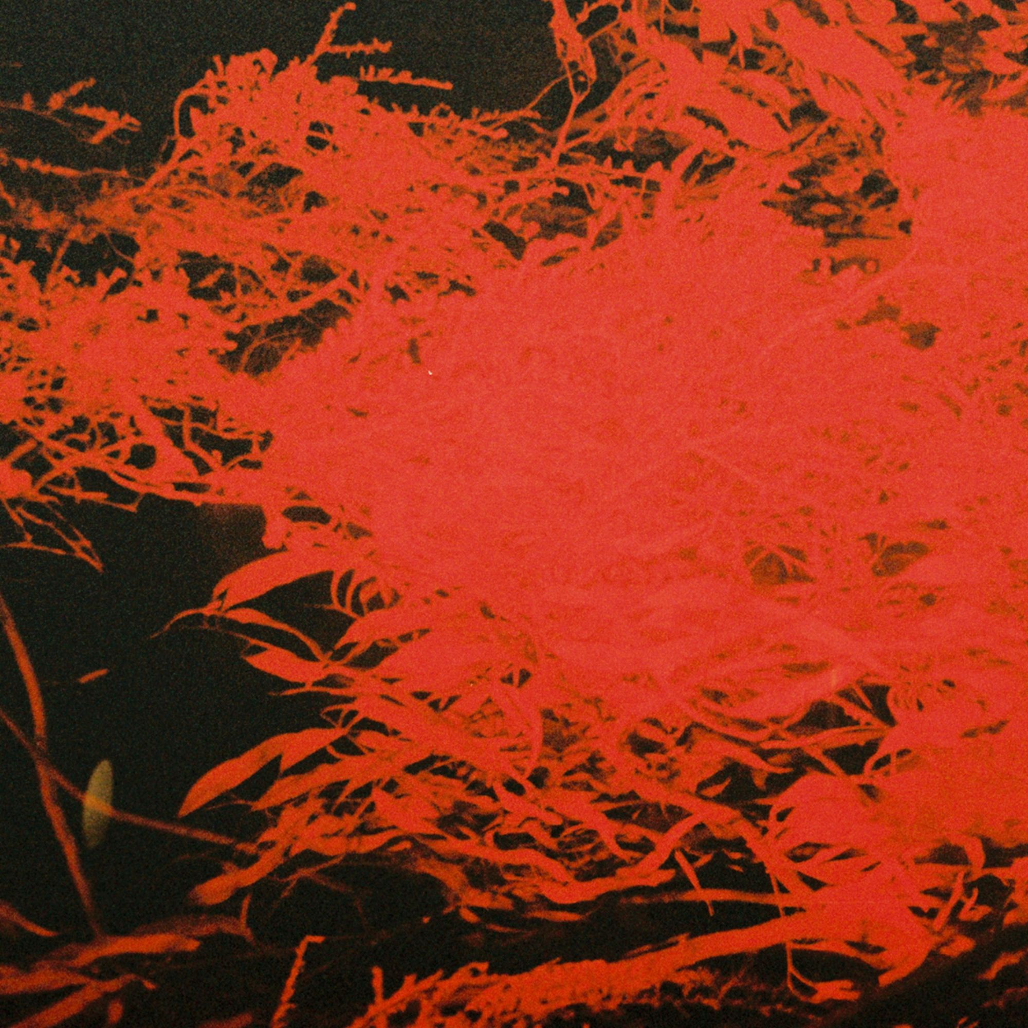 NAPLES, ANTHONY - IN STUDIO MAGIC