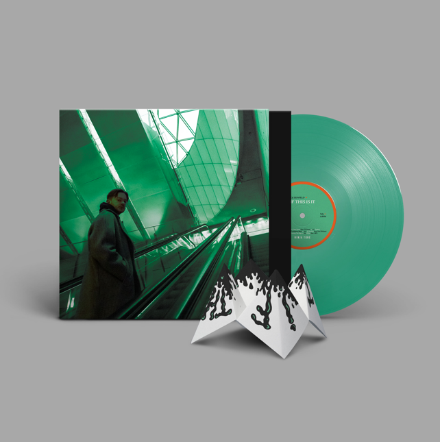 DJ SEINFELD - IF THIS IS IT