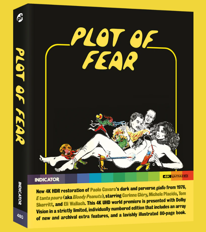 MOVIE - PLOT OF FEAR