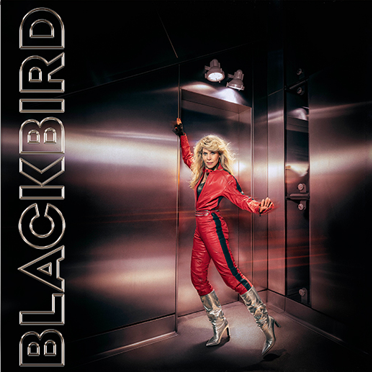 BLACKBIRD - DO YOU READ ME!