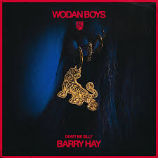 WODAN BOYS & BARRY HAY - DON'T BE SILLY -LTD-