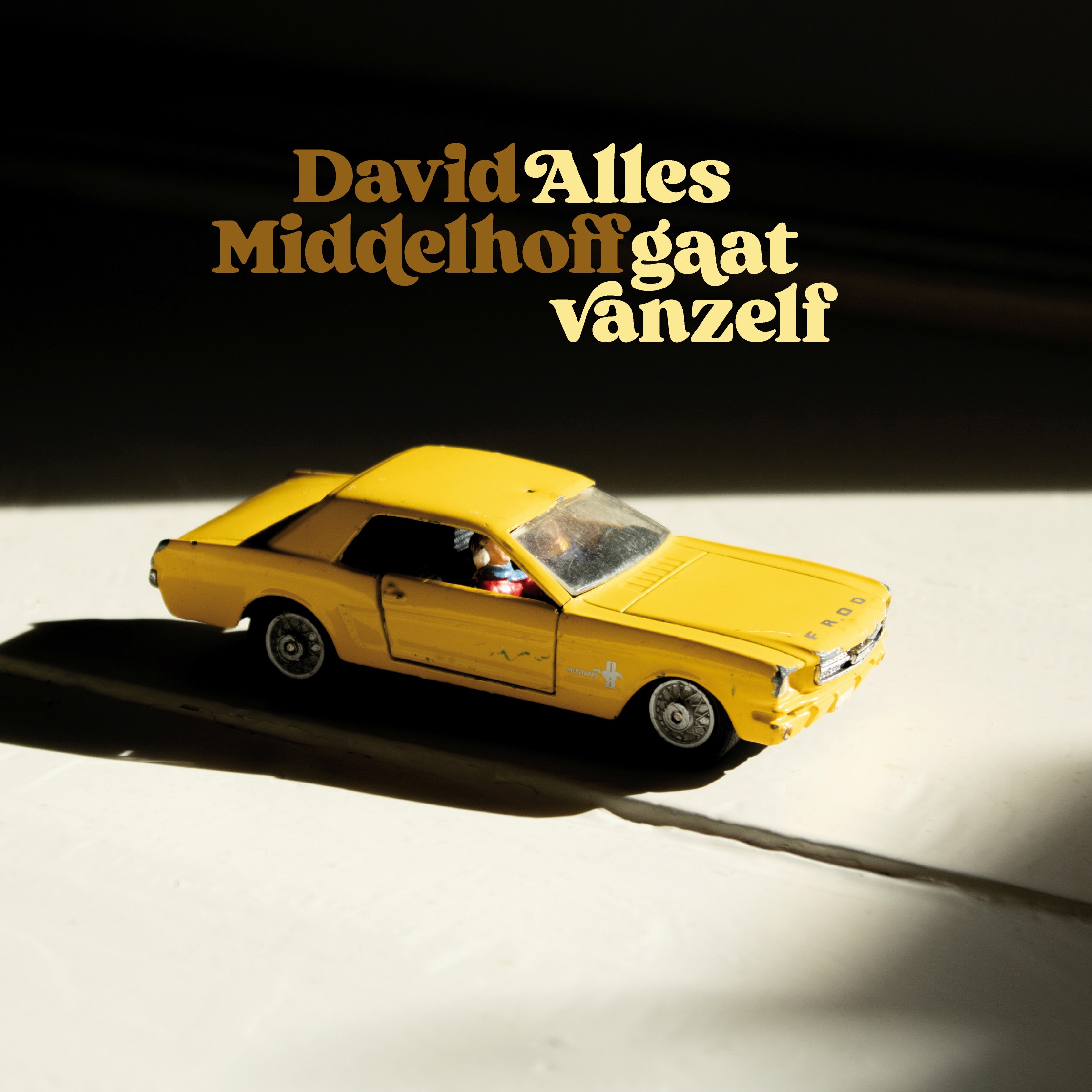 MIDDELHOFF, DAVID - ALLES GAAT VANZELF
