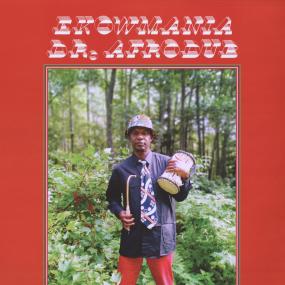EKOWMANIA - DR. AFRODUB (PRODUCED BY JIMI TENOR + DJ SOTOFETT REMIX