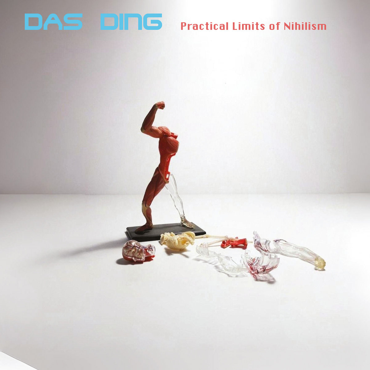 DAS DING - PRACTICAL LIMITS OF NIHILISM