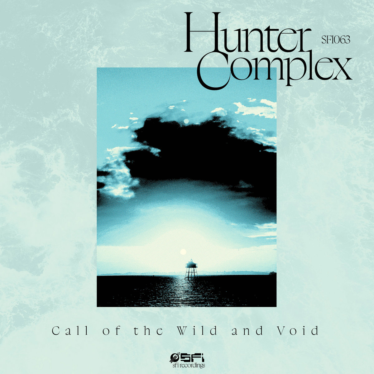 HUNTER COMPLEX - CALL OF THE WILD AND VOID