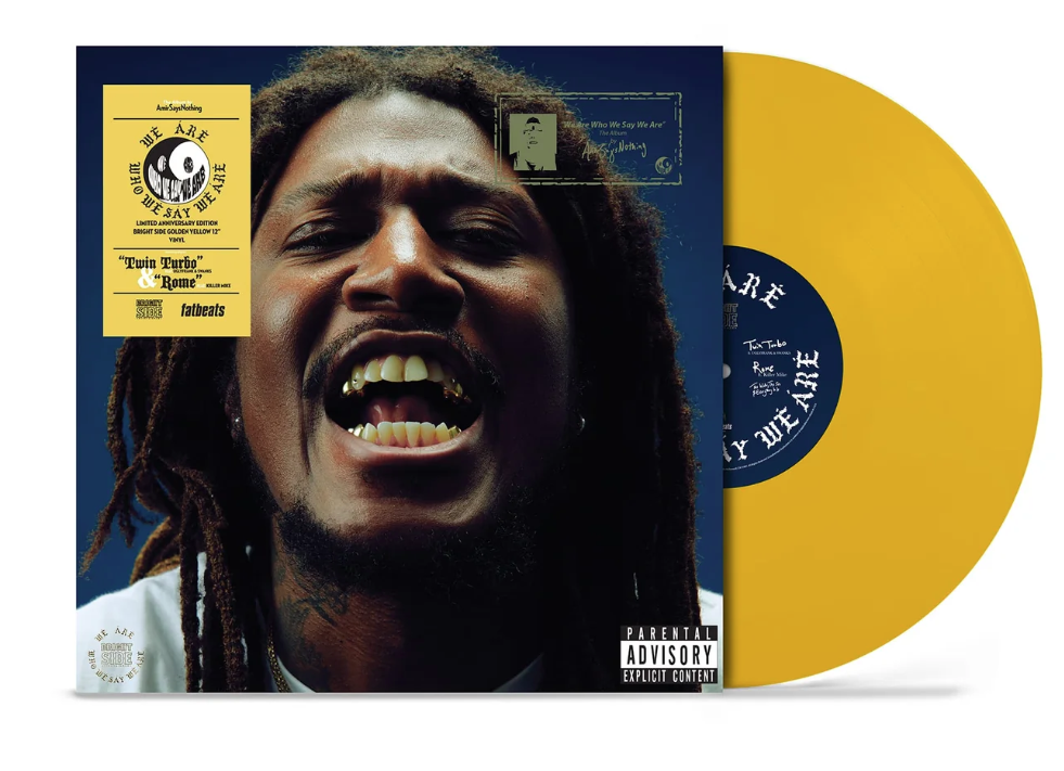 AMIRSAYSNOTHING - WE ARE WHO WE SAY WE ARE (ANNIVERSARY EDITION) (LP - GO