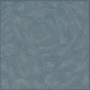 MAYA ONGAKU - NOTHING SPACE MUSIC